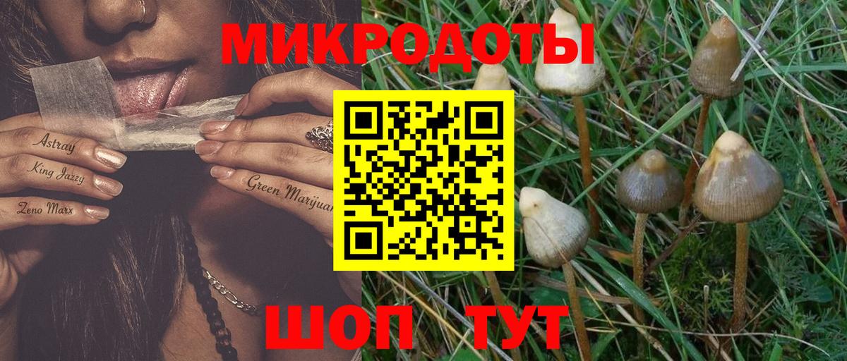 Галлюциногенные грибы ЛСД Сертолово