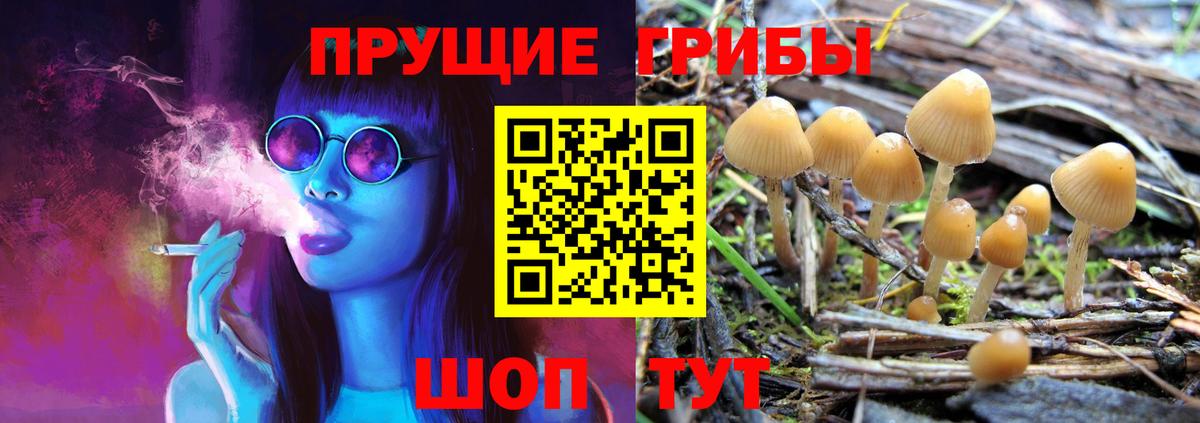 Галлюциногенные грибы MAGIC MUSHROOMS  купить   Сертолово  Вход с VPN 